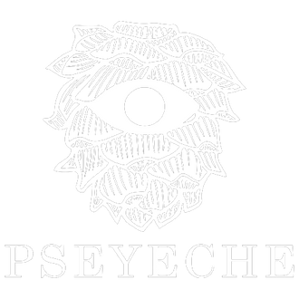 PsEYEche