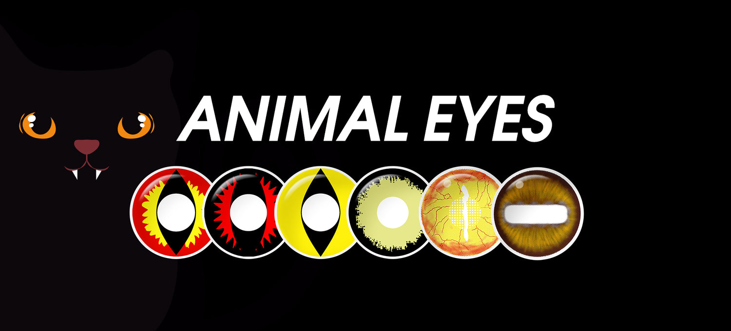 Animal Contact Lenses