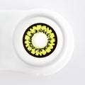 Yellow Mirage Contacts