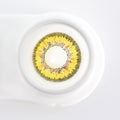 Envy Yellow Contacts