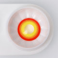 Red And Yellow Geared Contacts