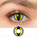Gray Dragon Eye Contacts - PsEYEche